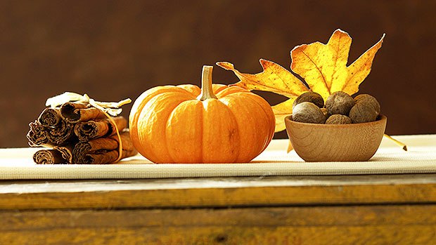 September 18 Meeting – Pumpkin, Squash and Gourds with Tim Moore.
